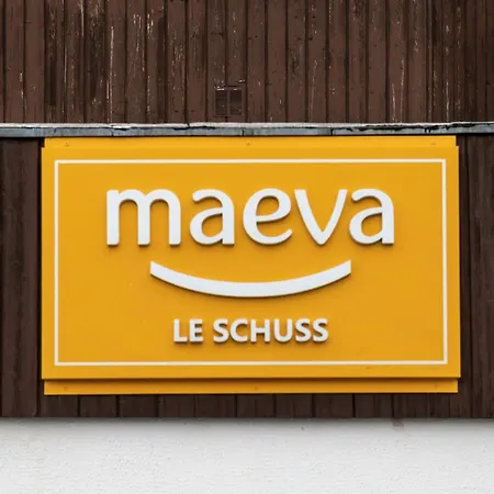 شقة Schuss - Location: Renove Avec Et Cabine, Proche Des Pistes Mae-9028 *
